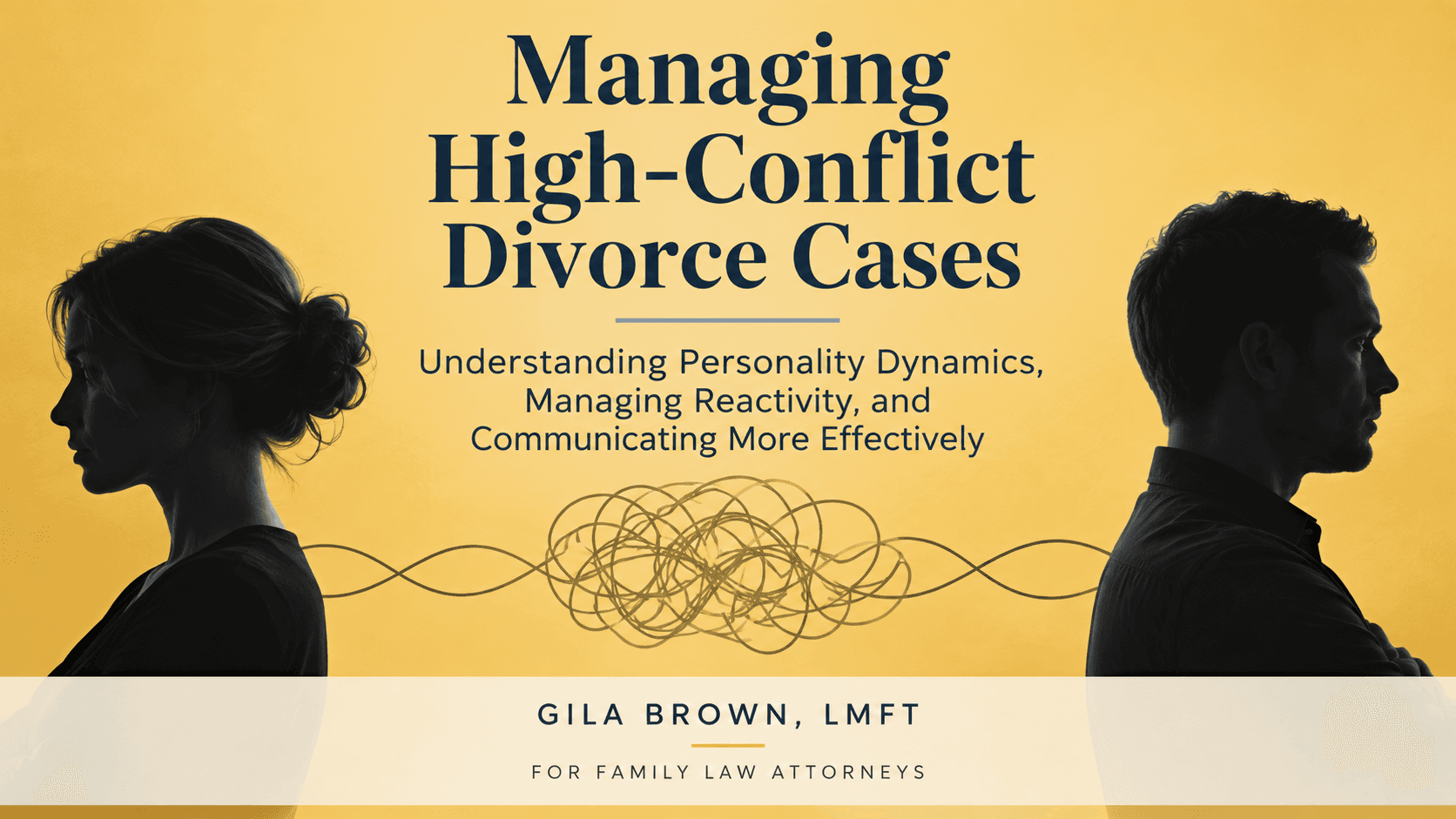 Managing High-Conflict Divorce Cases